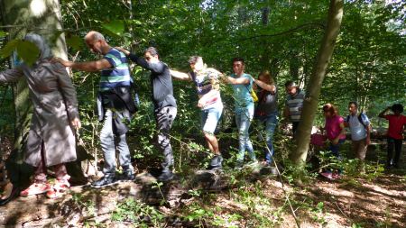 Geflüchtete entdecken den Wald