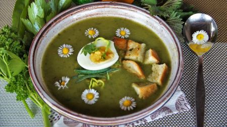 Kräutersuppe mit Brot und Kräutern um Teller verteilt