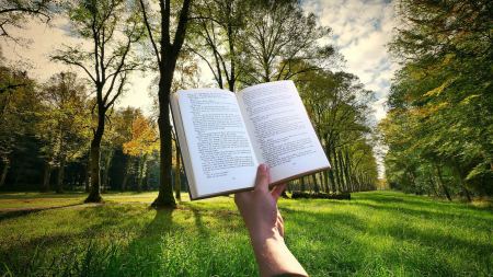 Person hält Buch in der Hand
